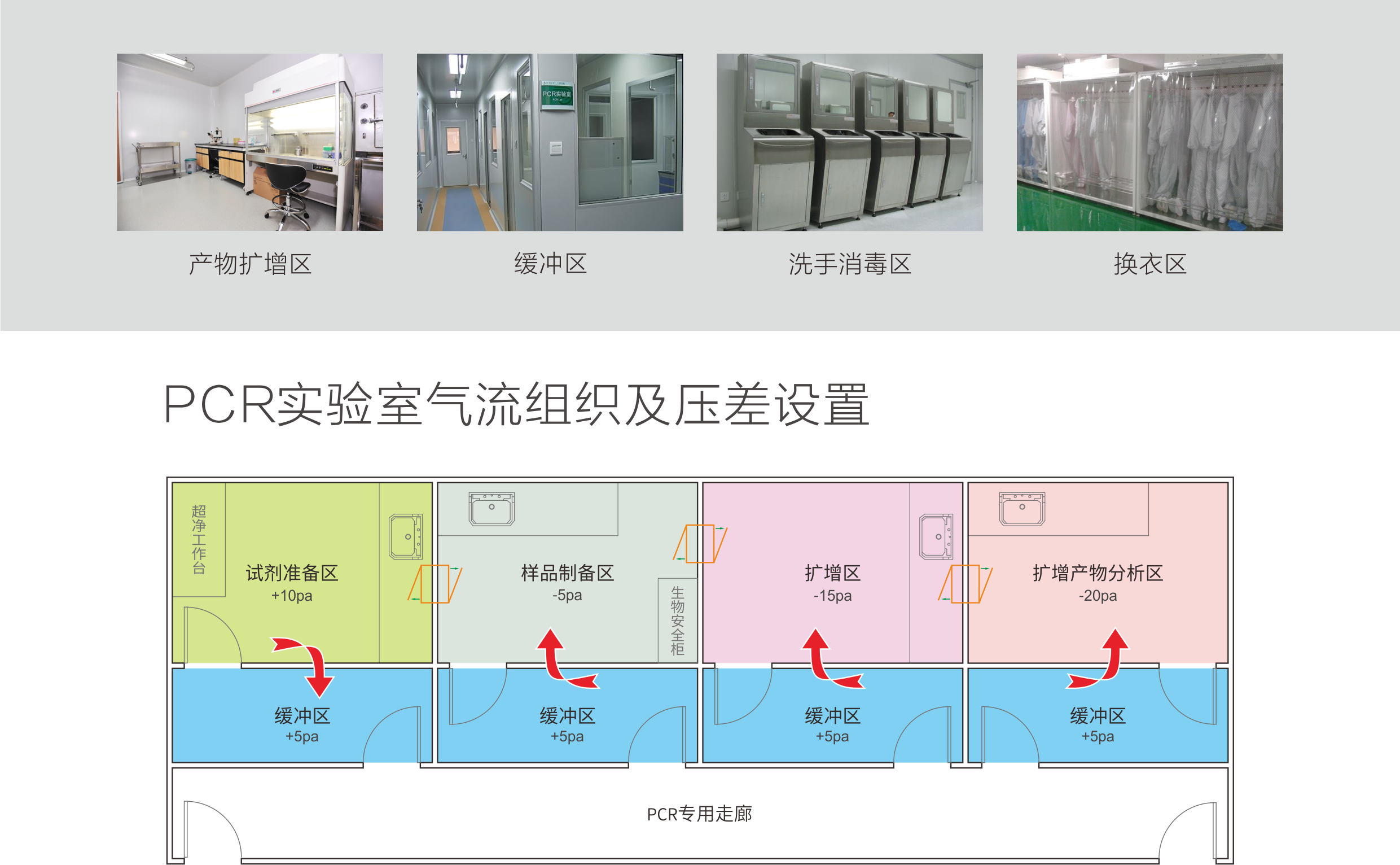 22PCR实验室.png
